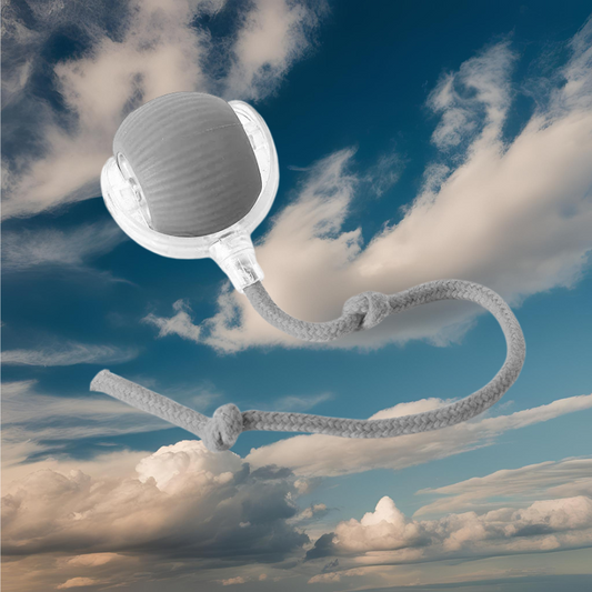PetWheels- Pelota interactiva para mascotas